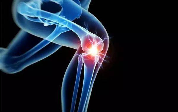 食疗产品,保健食品,功能性食品 食疗产品,保健食品,功能性食品